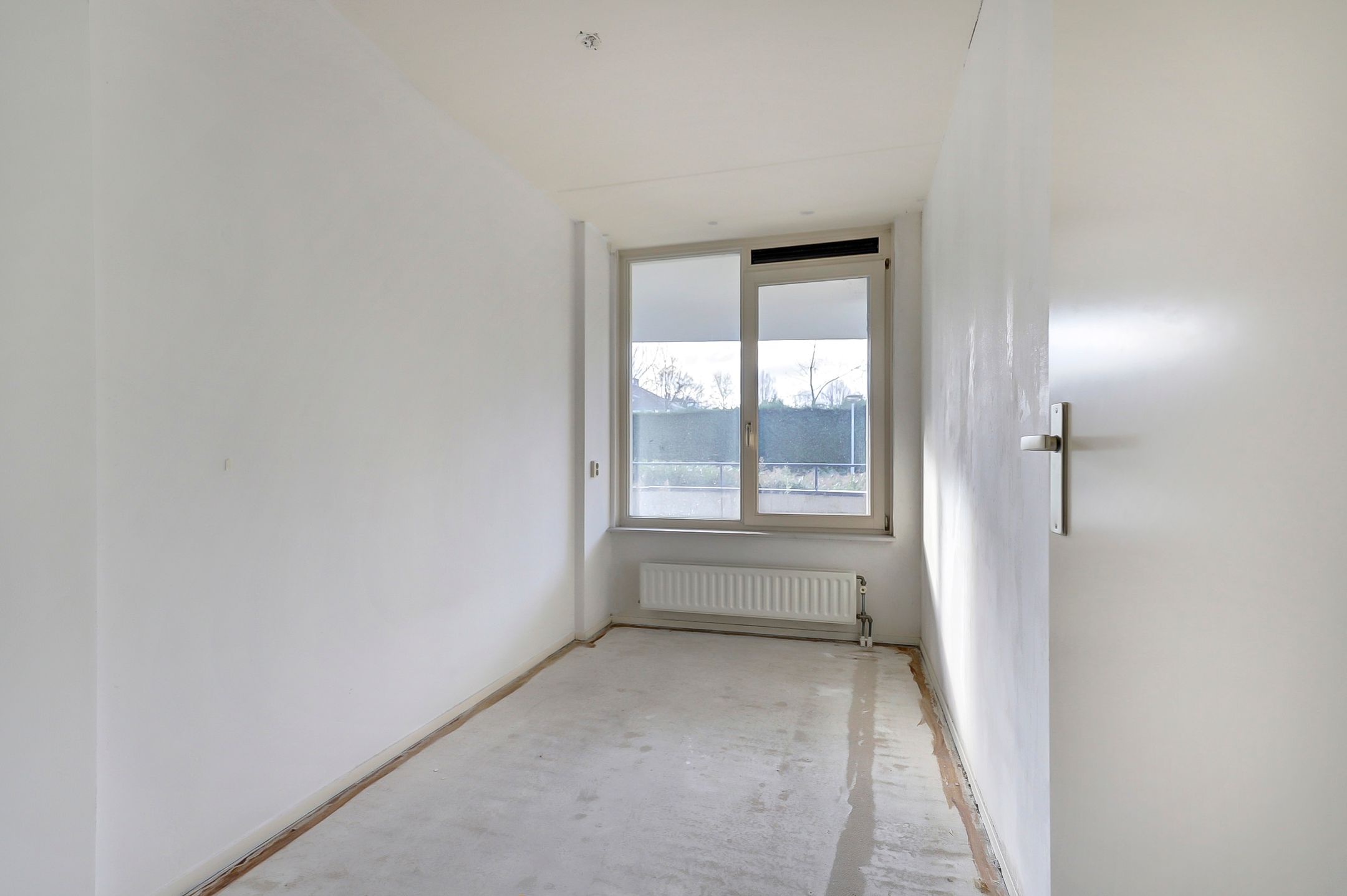 Photo 9 of Veldzuring 97