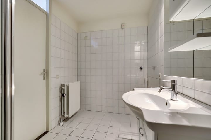 Foto 12 van Veldzuring 97