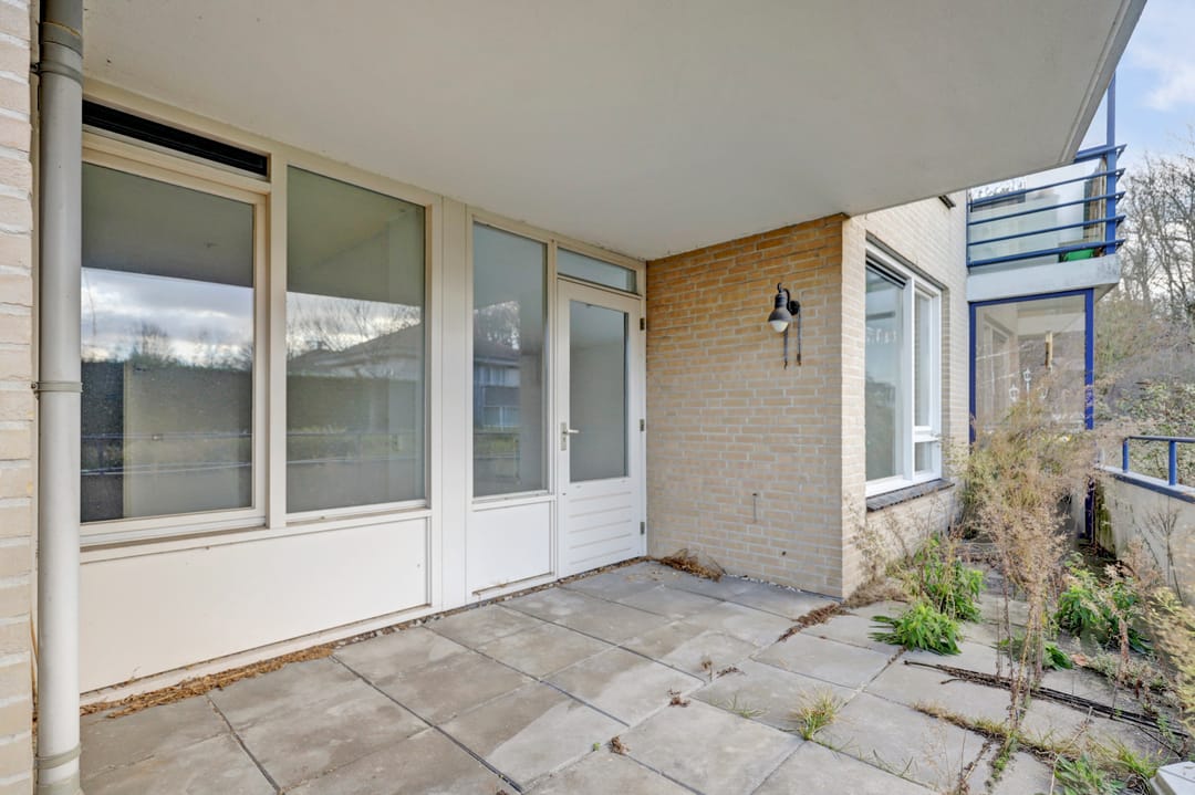 Photo 13 of Veldzuring 97