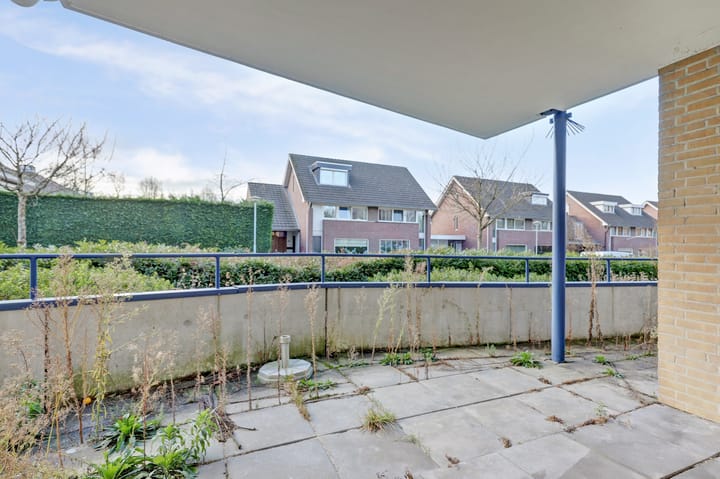 Foto 14 van Veldzuring 97