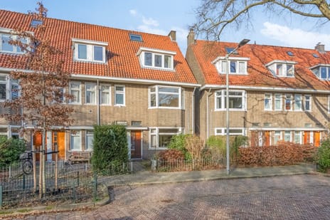 Statenlaan thumbnail