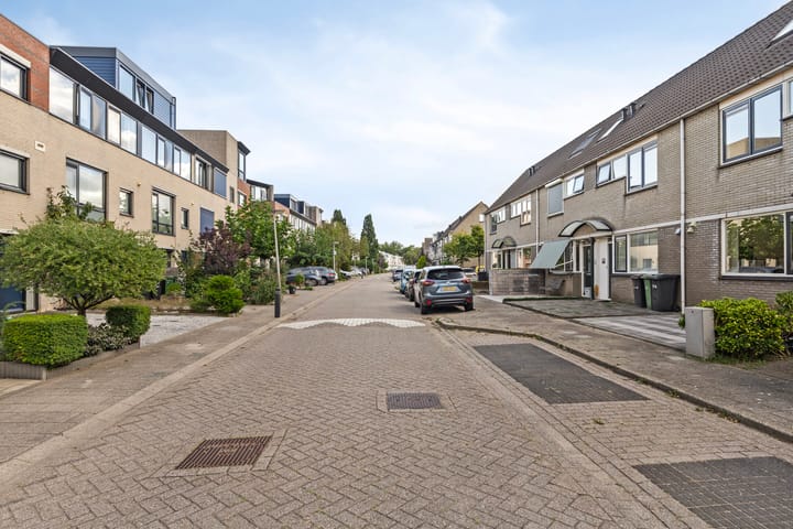 Foto 30 van Albert John Luthulistraat 23