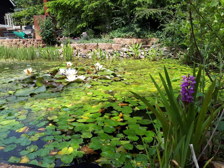 Foto 26 van Oudelandsedijk 55-A