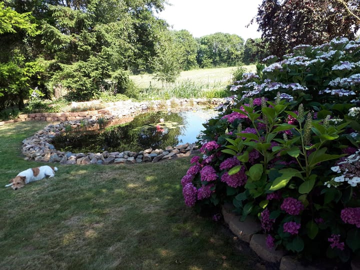 Foto 27 van Oudelandsedijk 55-A