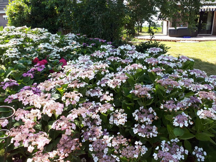 Foto 30 van Oudelandsedijk 55-A