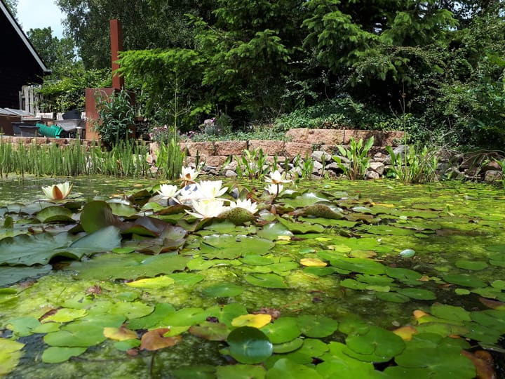 Foto 32 van Oudelandsedijk 55-A