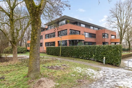 Nesciolaan thumbnail