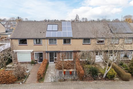 undefined main image