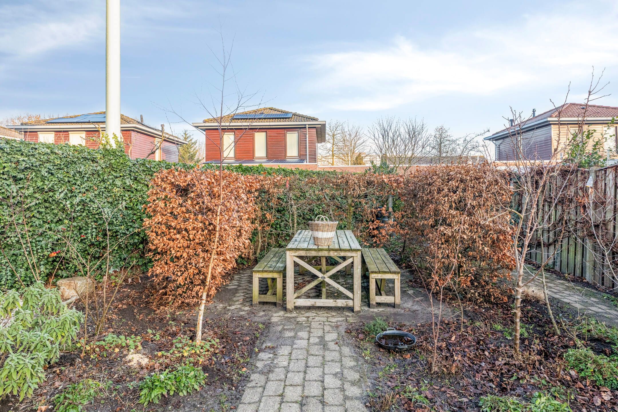 Photo 39 of Okkernoot 12