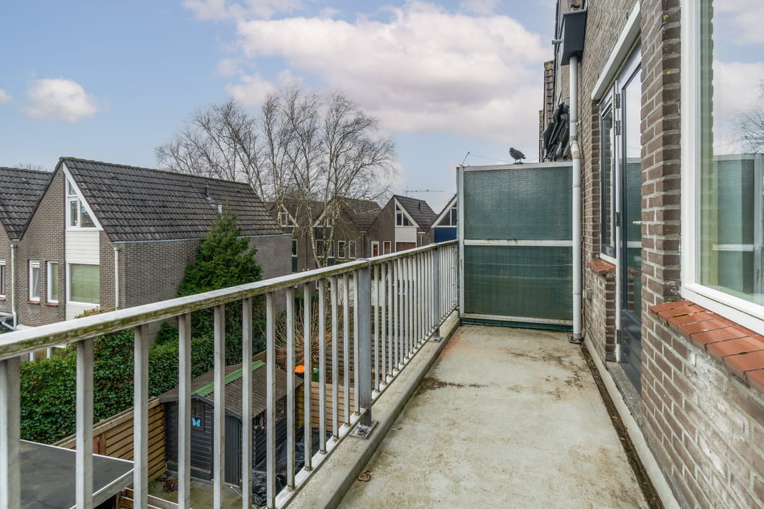 Foto 16 van Weidezoom 42