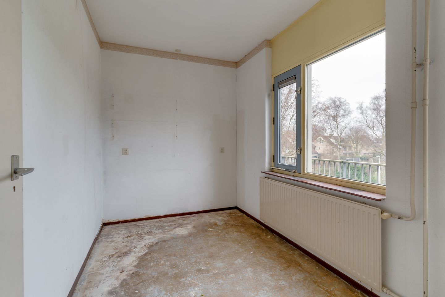 Foto 20 van Weidezoom 42