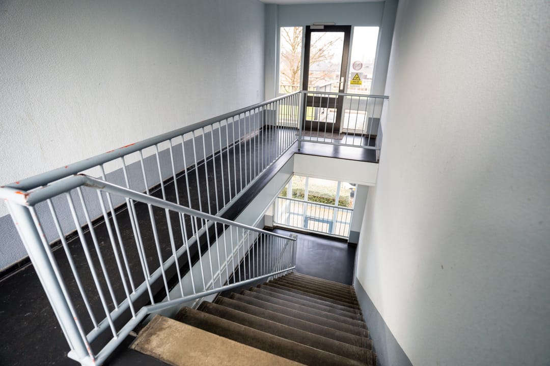 Foto 32 van Weidezoom 42