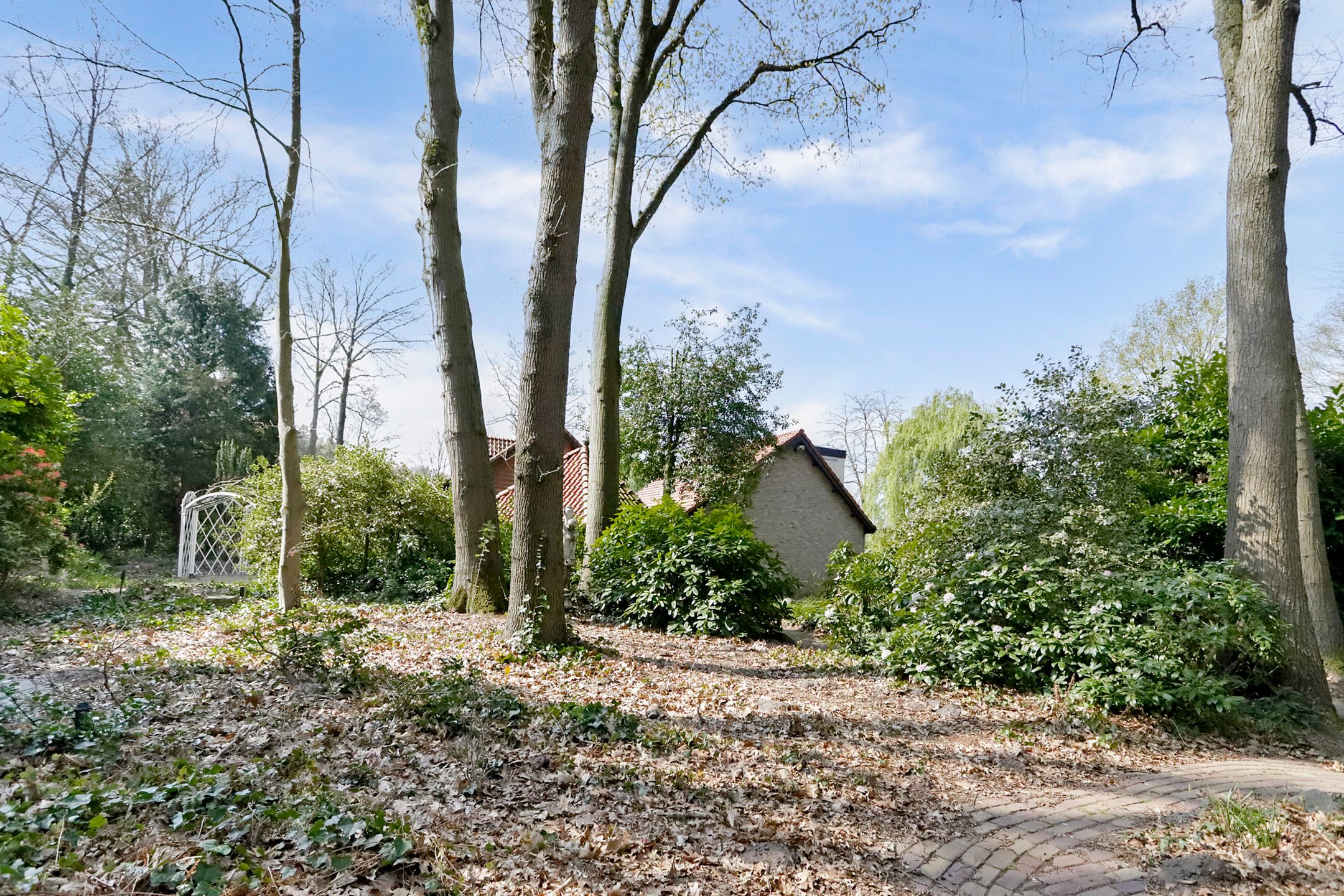 Photo 45 of Bredaseweg 39