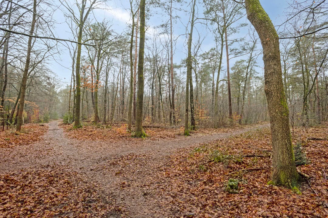 Photo 26 of Parkweg 26