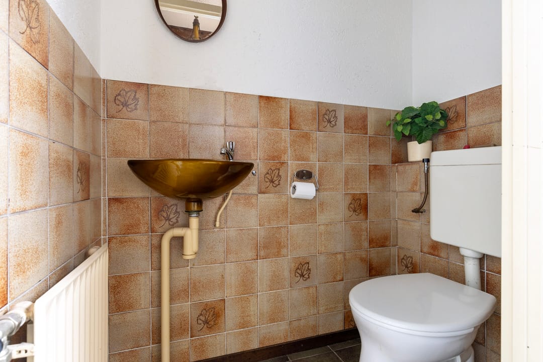 Foto 7 van Zoetendaal 239