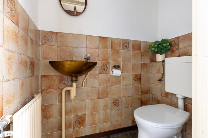 Foto 7 van Zoetendaal 239