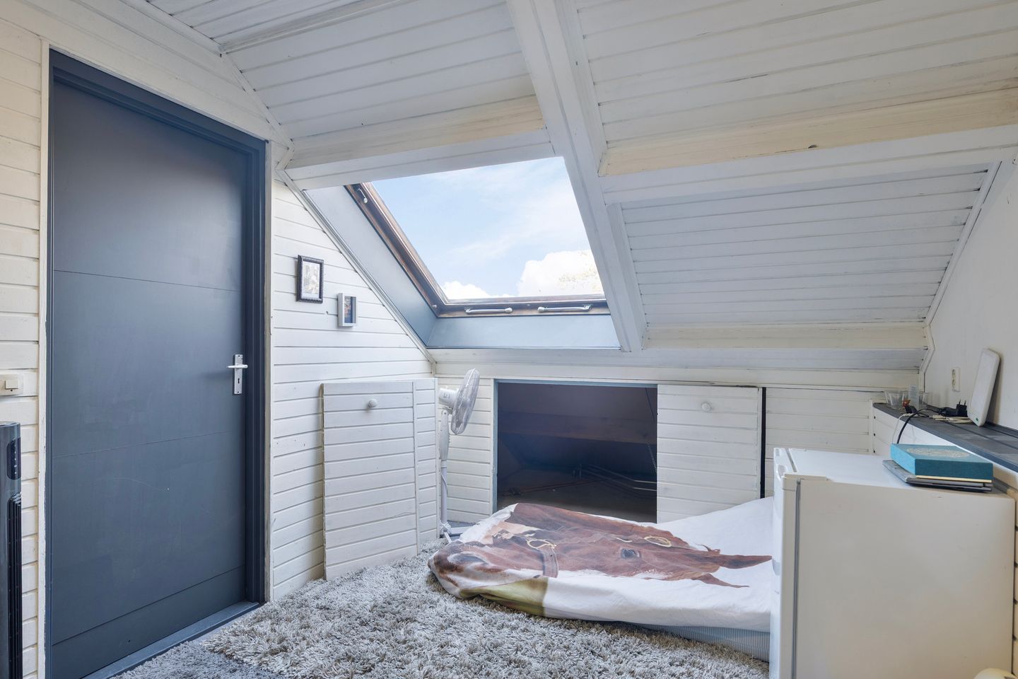 Foto 29 van Zoetendaal 239