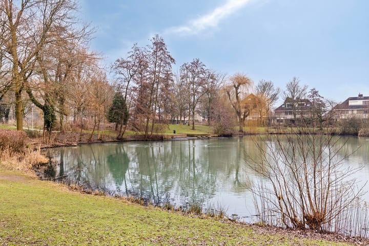 Foto 36 van Zoetendaal 239