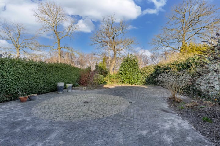 Photo 30 of De wiezeboom 55