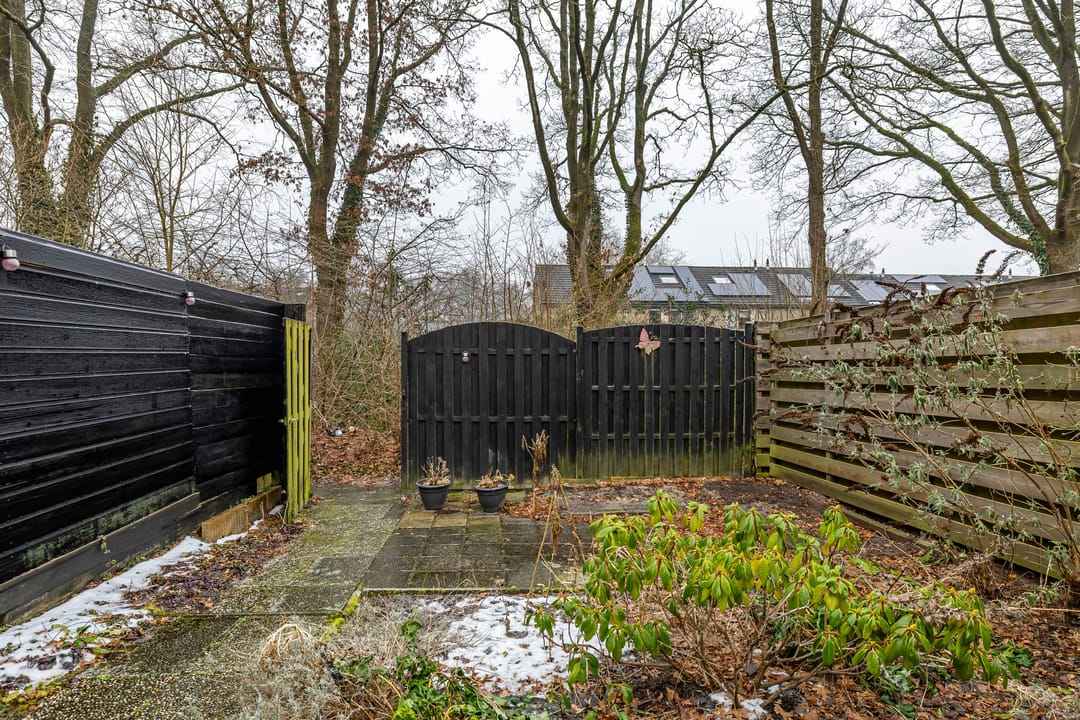 Foto 38 van Kennemerland 169