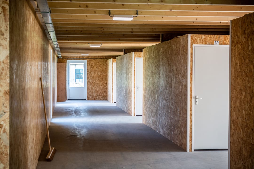 Foto 31 van Orxmasingel 60