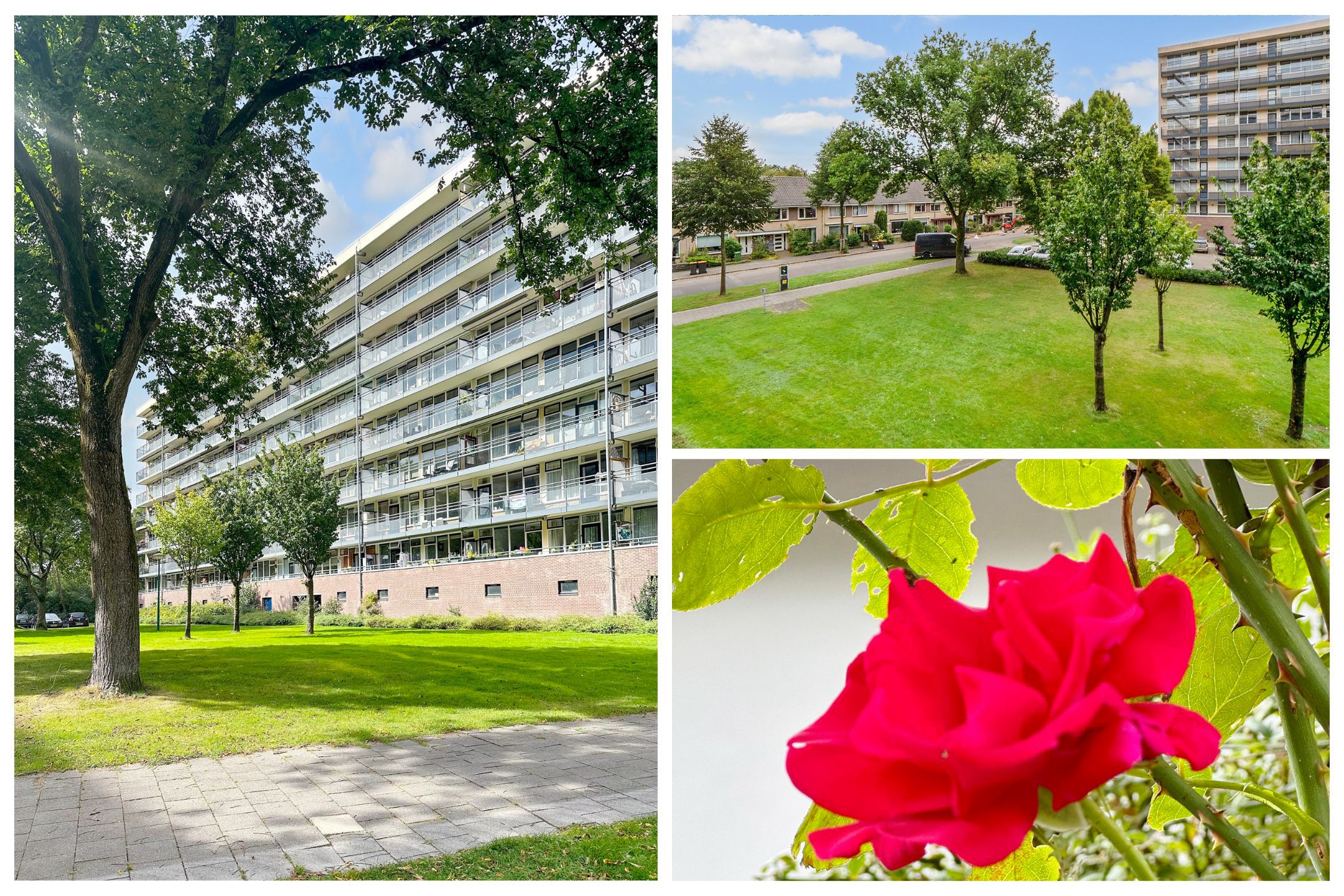 Photo 3 of Goudvinklaan 36