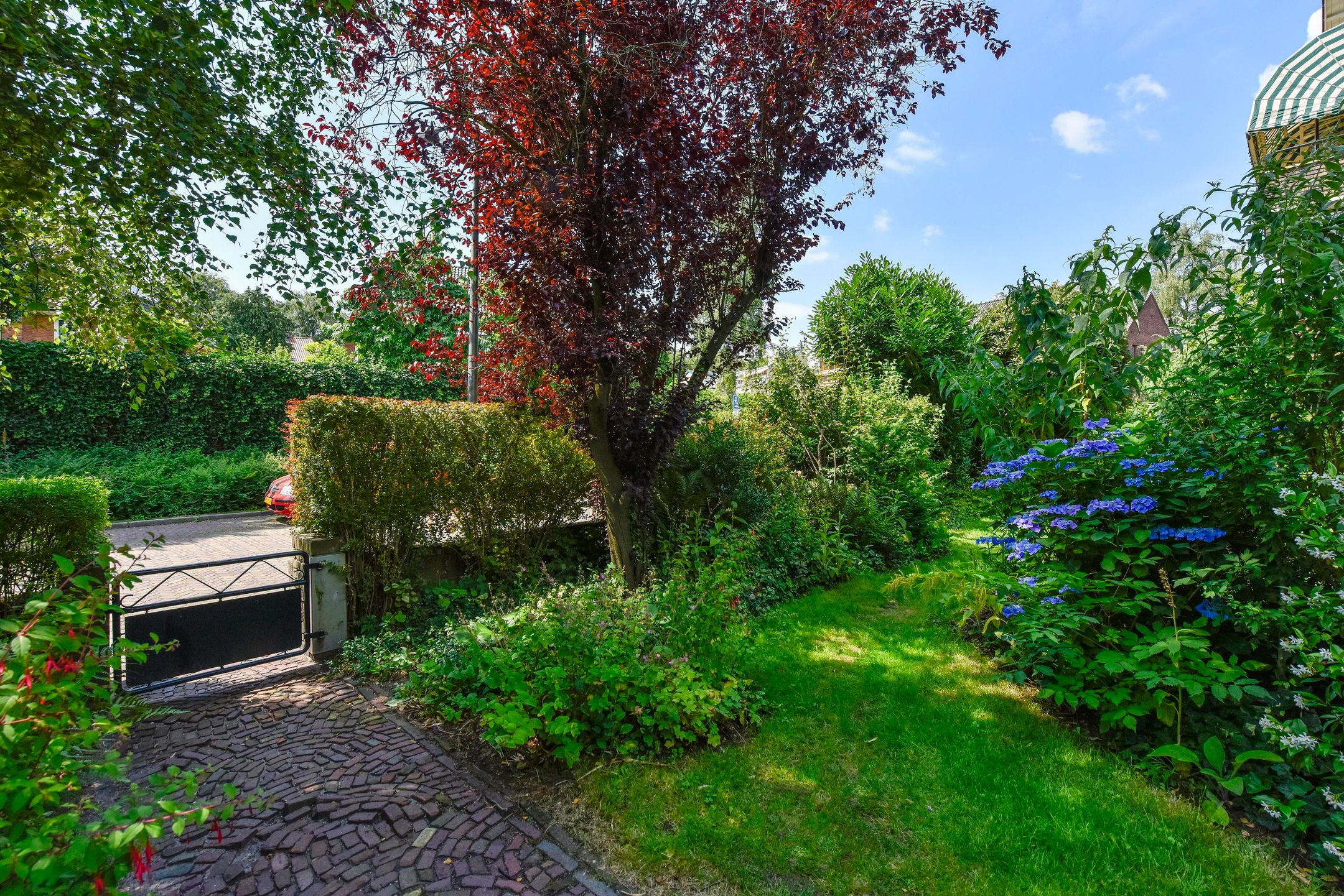 Foto 21 van Albertus Perkstraat 19