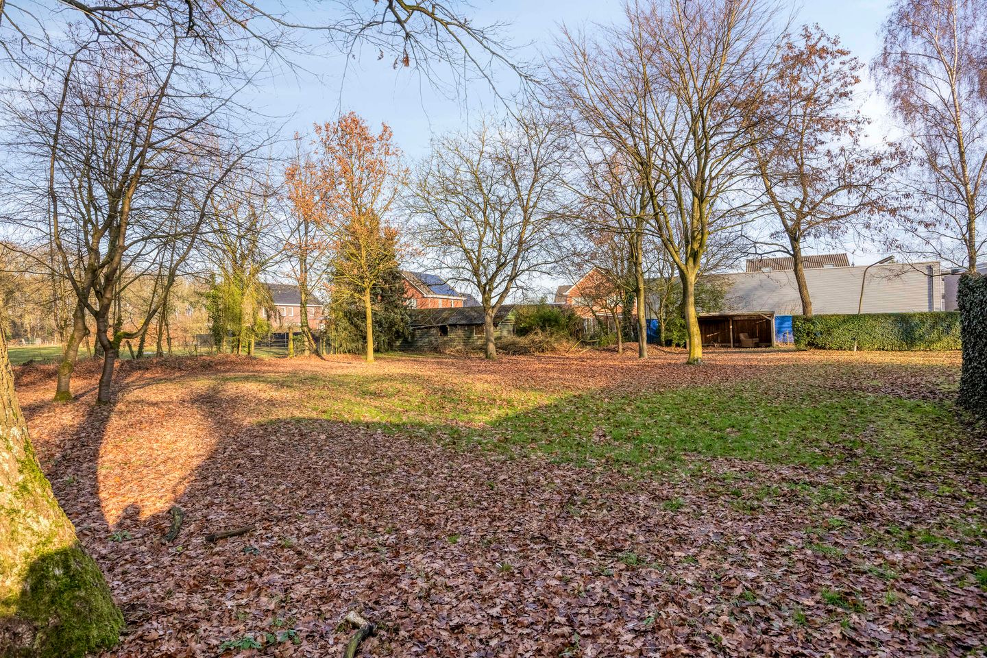 Foto 4 van Dr. Kortmannweg 3-A