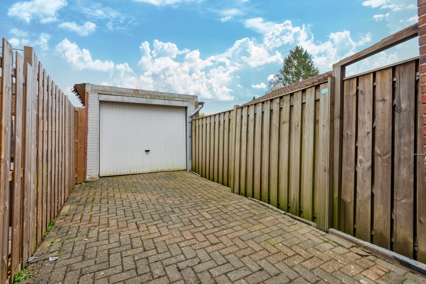 Foto 20 van Olmenplein 24