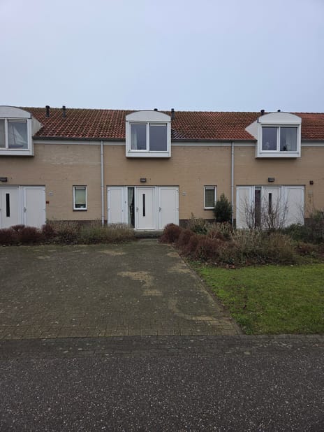 undefined main image