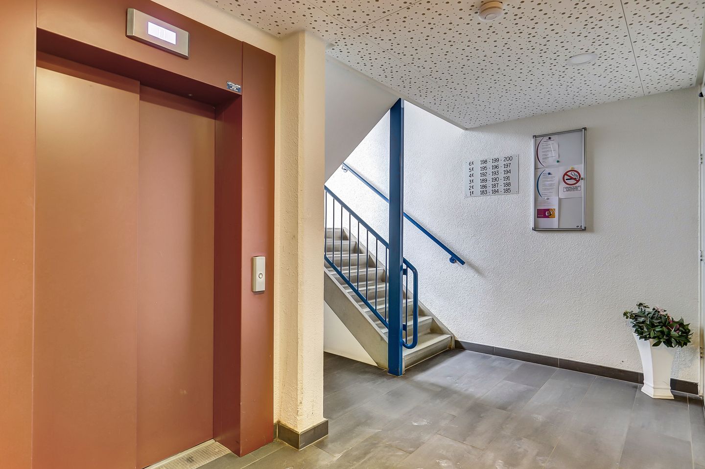 Foto 4 van Tomatenplein 194