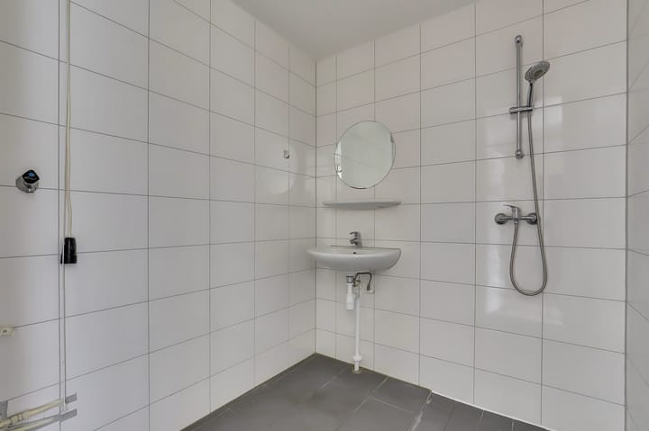 Foto 22 van Tomatenplein 194