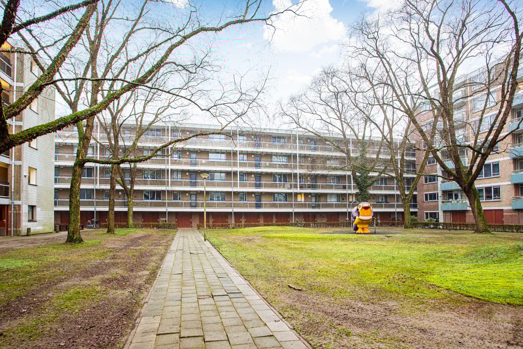 Photo 1 of Zangvogelweg 303