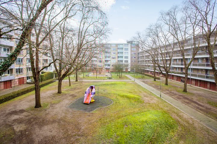 Foto 5 van Zangvogelweg 303