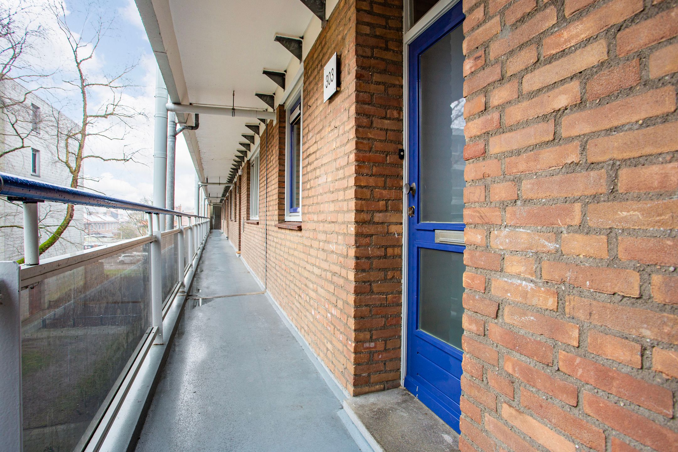 Photo 6 of Zangvogelweg 303