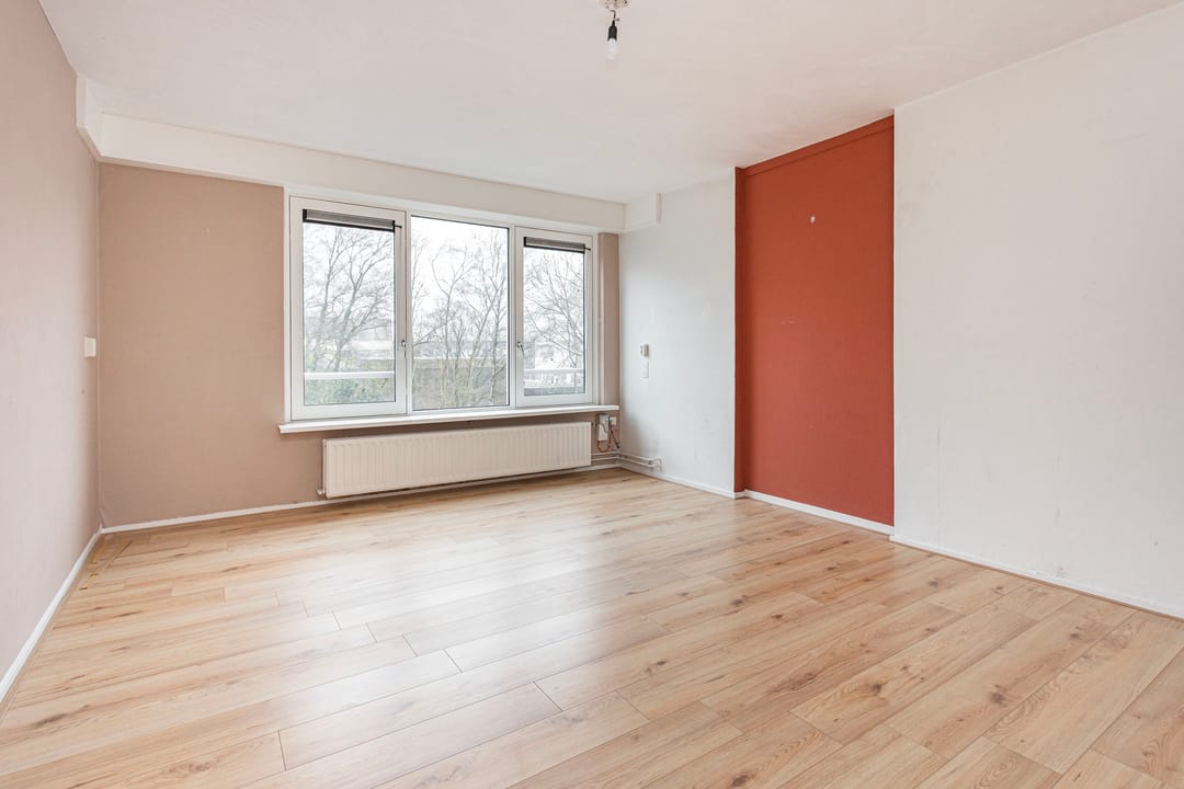 Photo 8 of Zangvogelweg 303