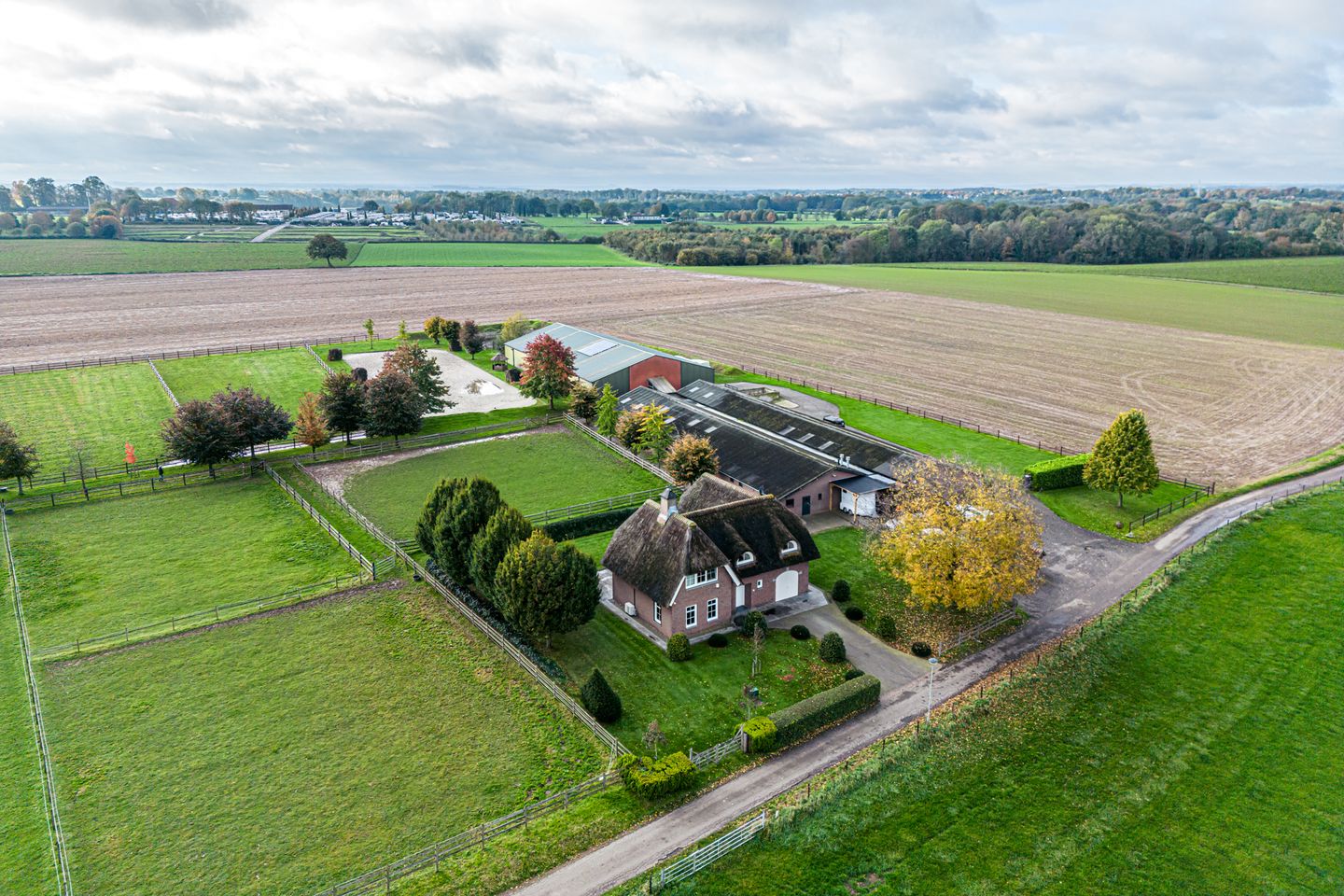 Bekijk foto 3 van Lindenstraat 31