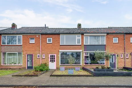 undefined main image