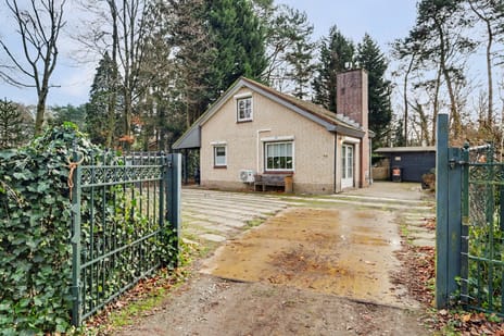 undefined main image