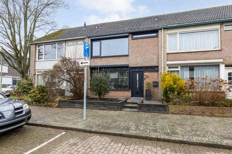 undefined main image