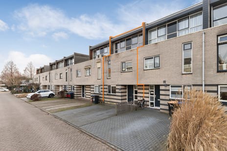 undefined main image