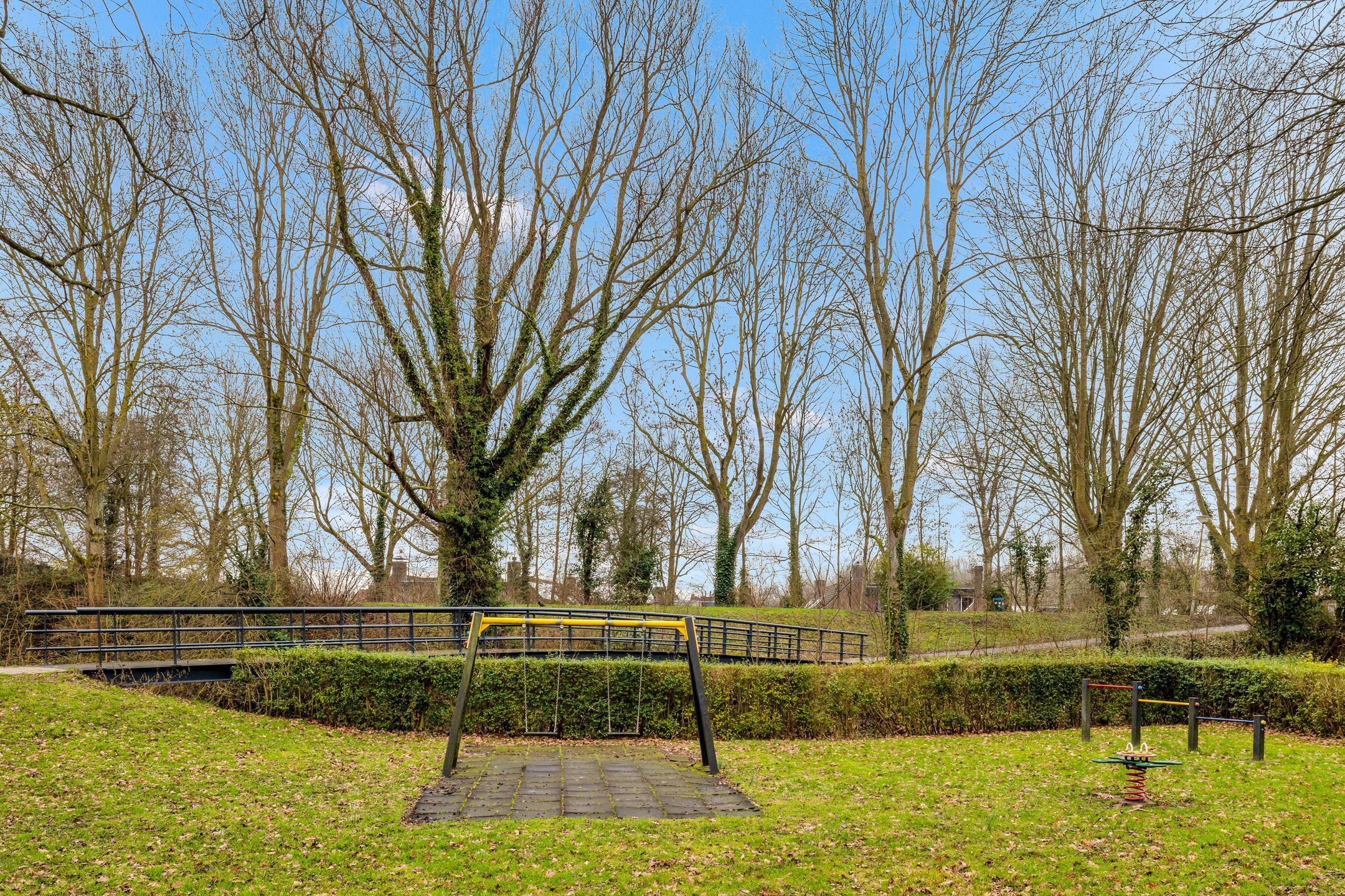 Foto 6 van de Eik 50