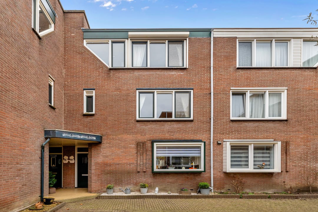 Foto 8 van de Eik 50