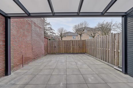 Terborch 16 tertiary image