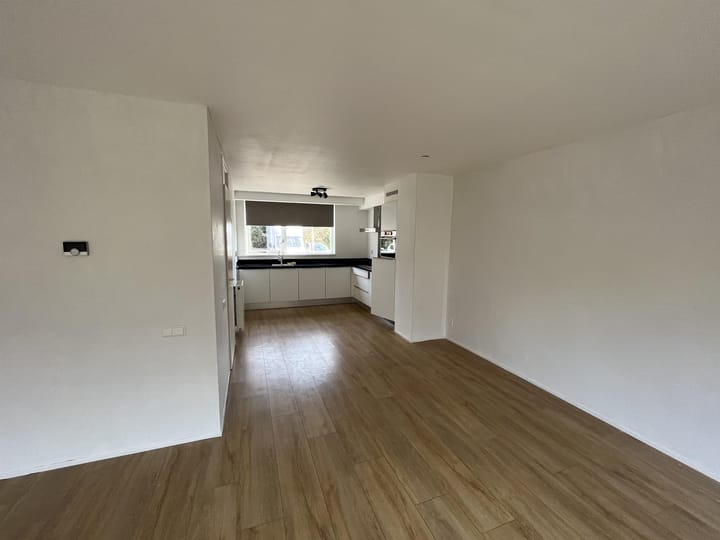 Photo 3 of Schoener 1