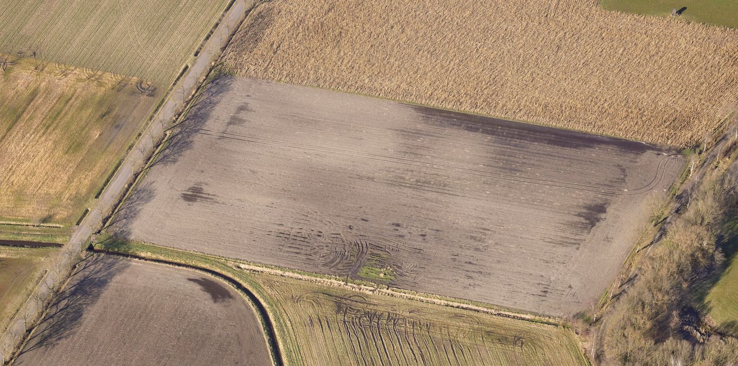 Heltenbosdijk - Weert - Afbeelding 7