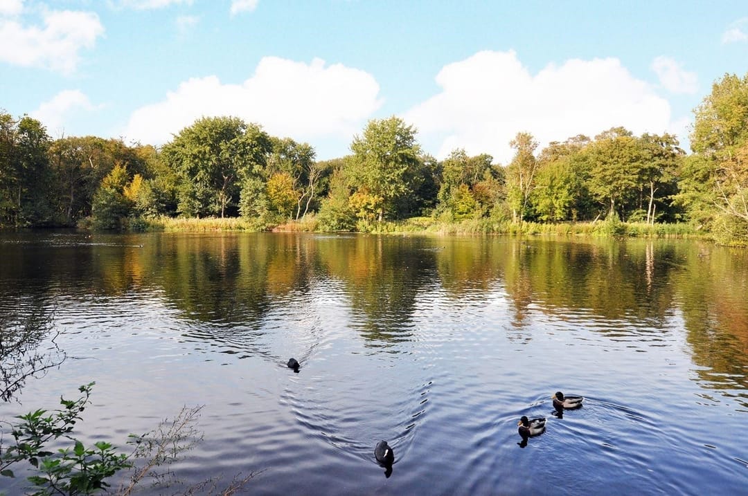 Foto 41 van Jacques Urlusstraat 147