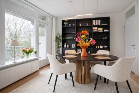 Prins Frederiklaan thumbnail