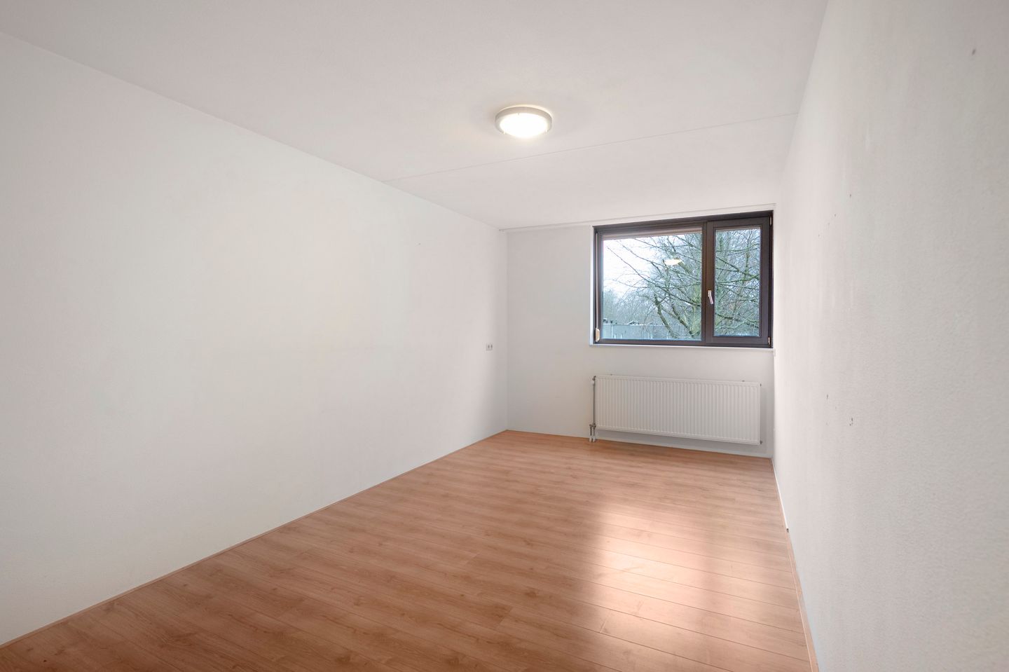 Photo 20 of Willy Dolsstraat 15