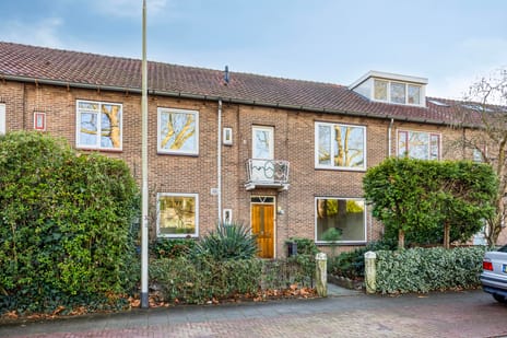 Bosduifstraat thumbnail